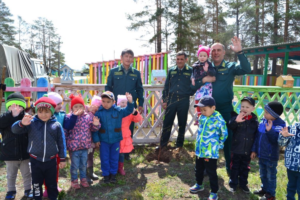 Саженцы на территории ТОС “Планета детства”