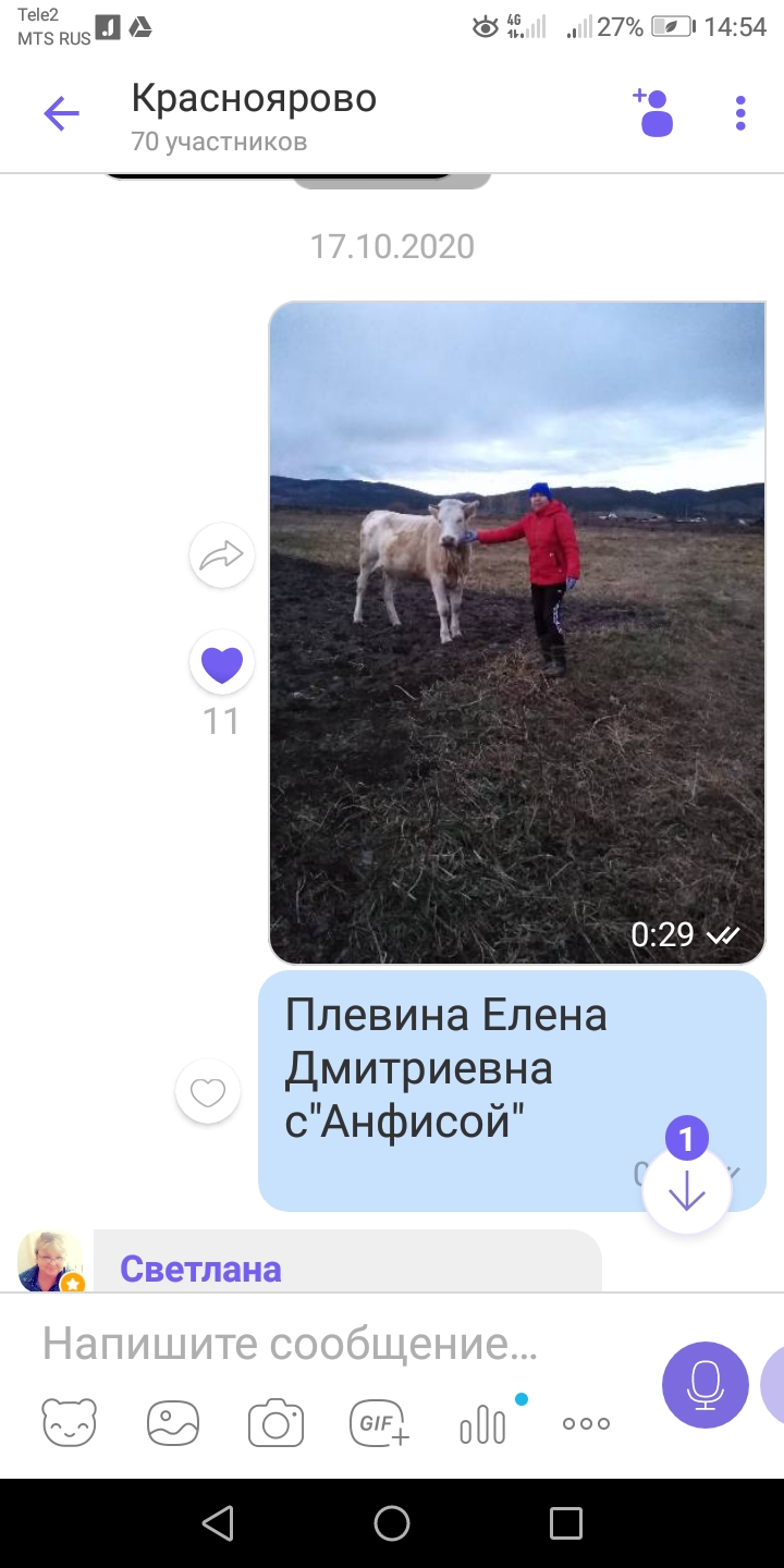 ТОС “Низовское”. Участие в фото-конкурсе “Моя бурёнка”