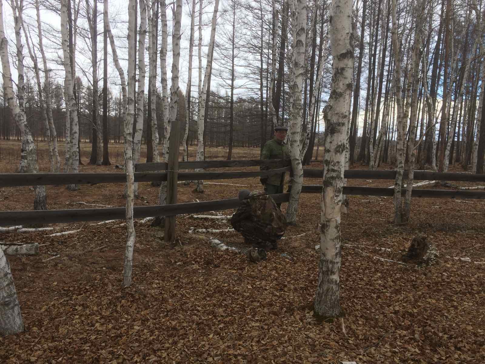 Субботник на кладбище.