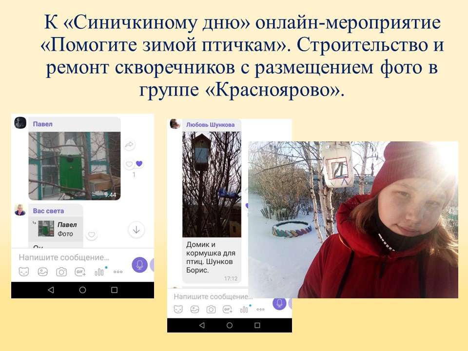 ТОС “Низовское”. К «Синичкиному дню» онлайн-мероприятие «Помогите зимой птичкам». Строительство и ремонт скворечников с размещением фото в группе «Красноярово».