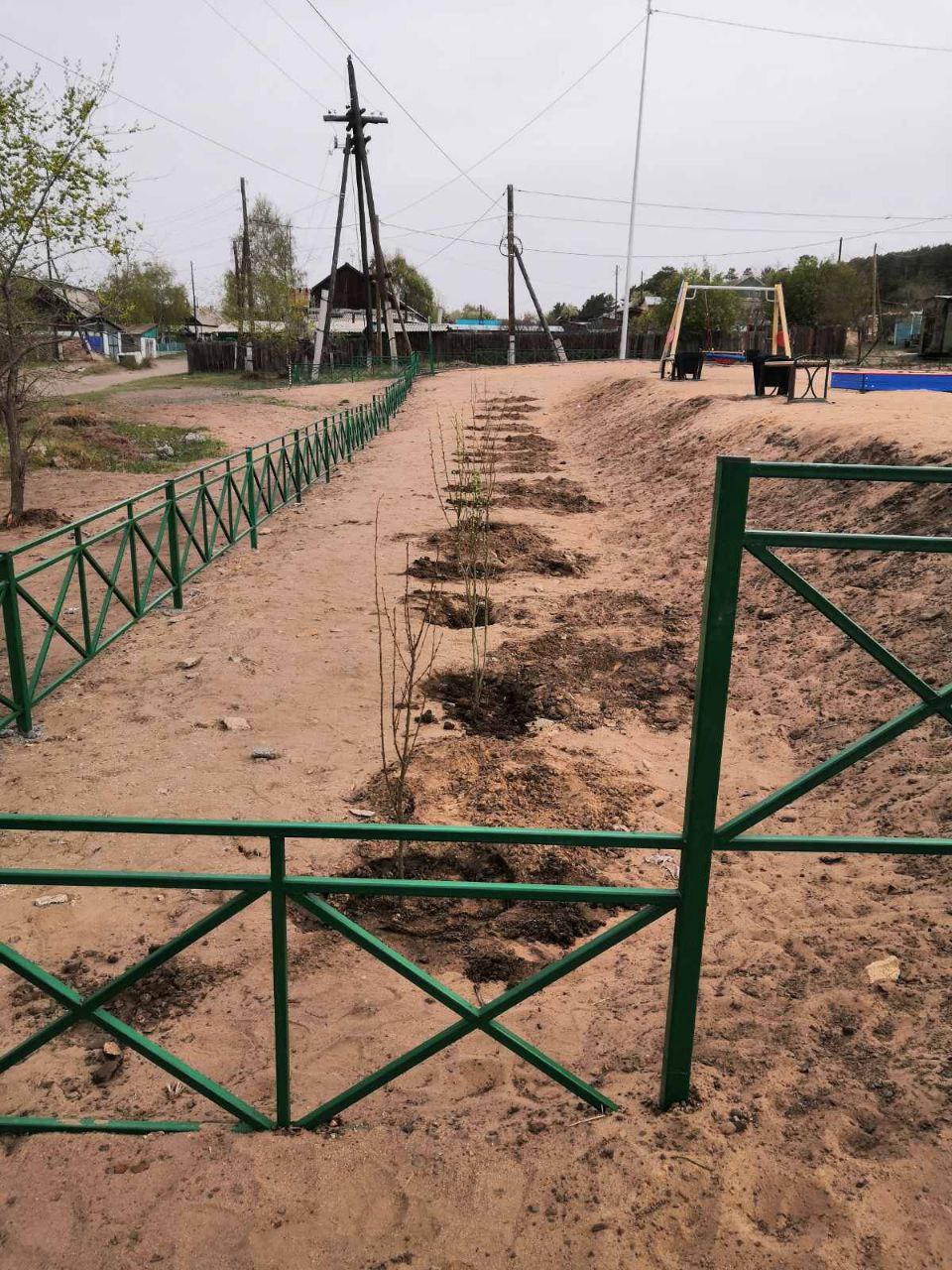 ТОС “Заречный” высадили 16 саженцев на территории детской площадки, построенной  в рамках реализации федеральной программы “1000 дворов”
