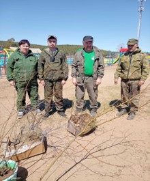 Посадка саженцев