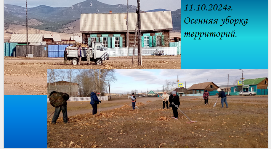 ТОС “Багульник” 11.10.2024г. Осенняя уборка территорий.
